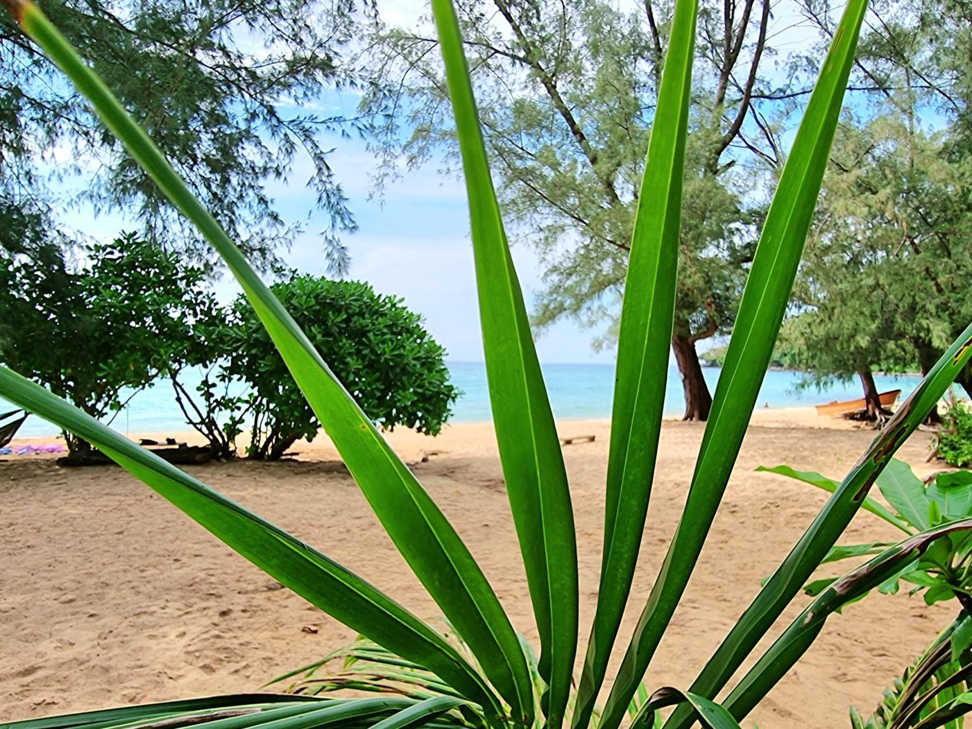 Sunboo Beach Bungalows Ko Rong Sanloem Eksteriør bilde